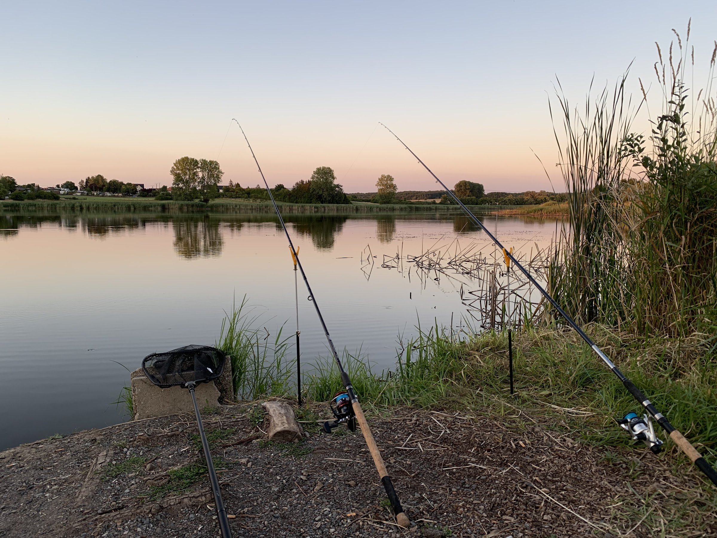 Camping Municipal Le Lac Vert (Mittersheim)